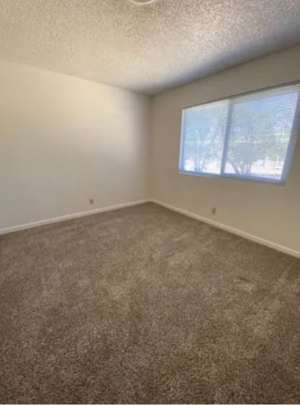 Building Photo - 4433-4439 Cynthia Way