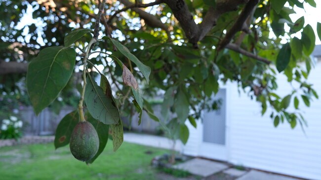 Building Photo - 509 Coronel Pl