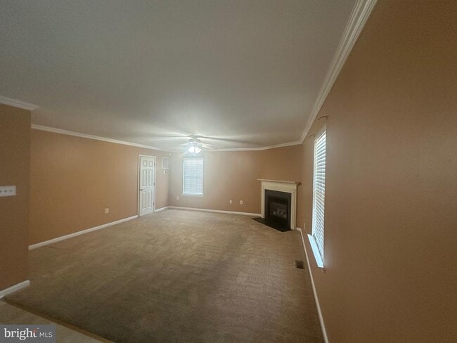 Building Photo - 3877 Shiner Ct