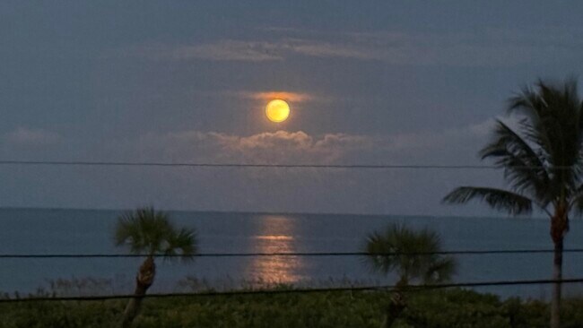 Building Photo - 5159 N Hwy A1A