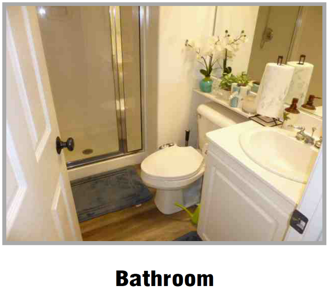 1st Floor shower/Bathroom - 4716 Caminito Girasol