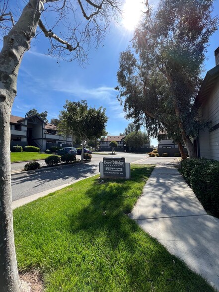 Primary Photo - Dove Ridge Apartments