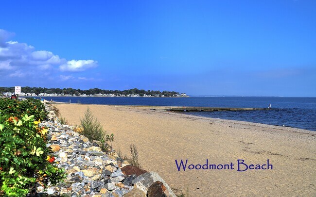 Building Photo - 83 Hawley Ave