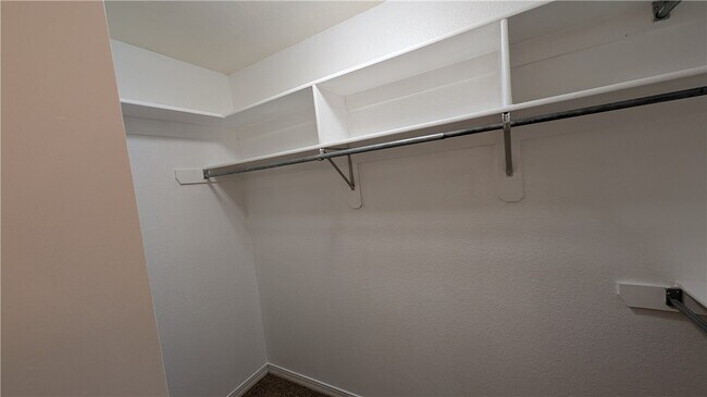 Building Photo - 2783 Boxwood Dr