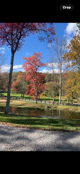 Building Photo - 42083 Sweet Spring Ln