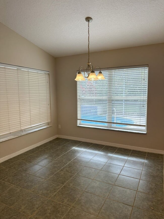 Building Photo - Palm Harbor Pool Home!