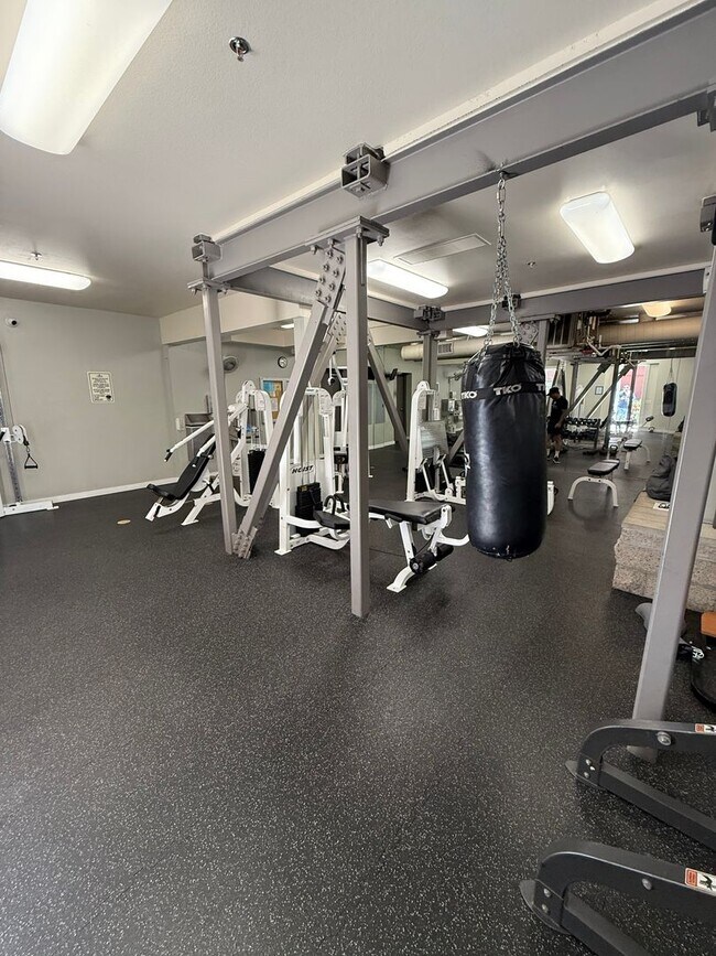 Building Photo - The Mills at Cortez Hill 1 Bed/1 Bath For ...