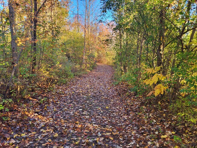 Building Photo - 11719 21 Mile Rd