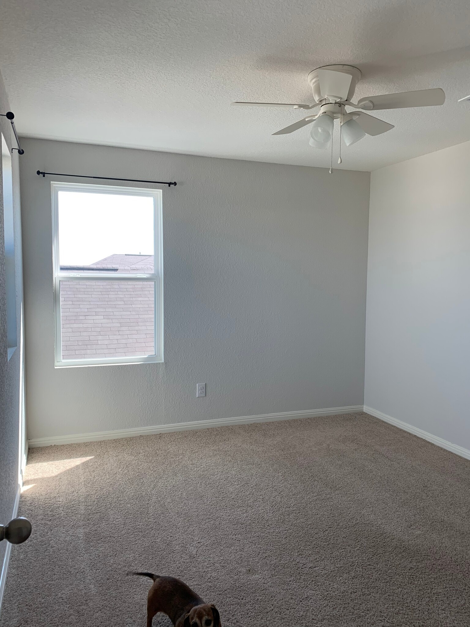 Building Photo - 291 Seneca Loop