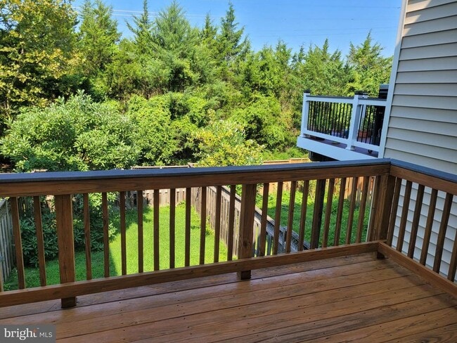 Building Photo - 25117 Sweet Myrtle Square