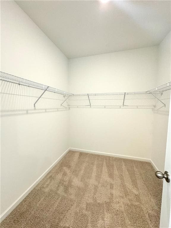 Building Photo - 4541 Encore Blvd