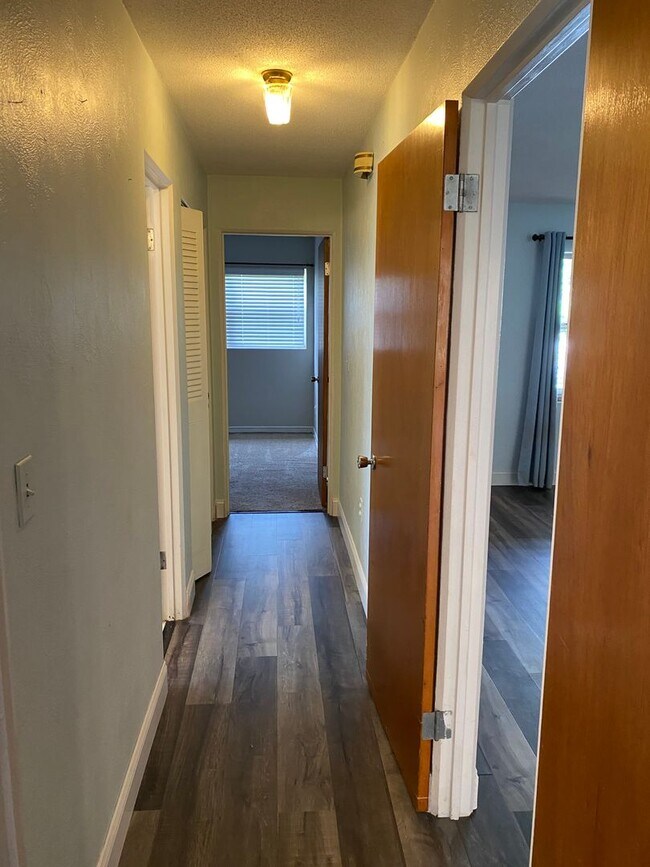 Building Photo - 3/2 Home In Downtown/Conway Area! Zoned fo...