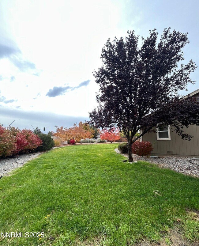 Building Photo - 1210 Haistar Ct