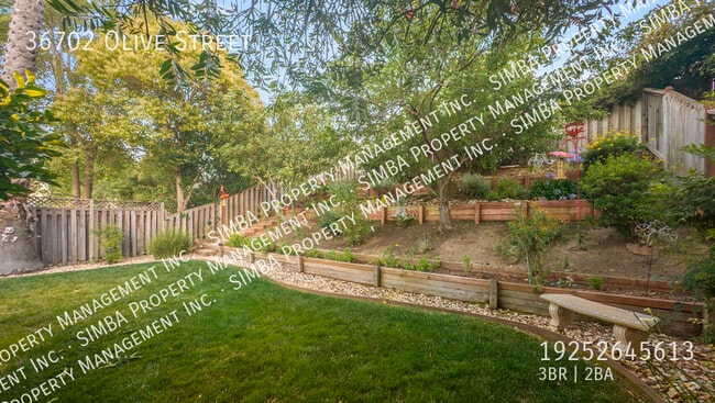 Building Photo - 36702 Olive St