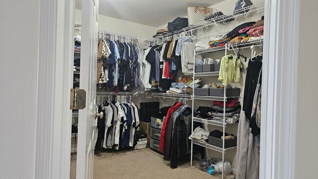 Building Photo - 1268 Bradley Cir