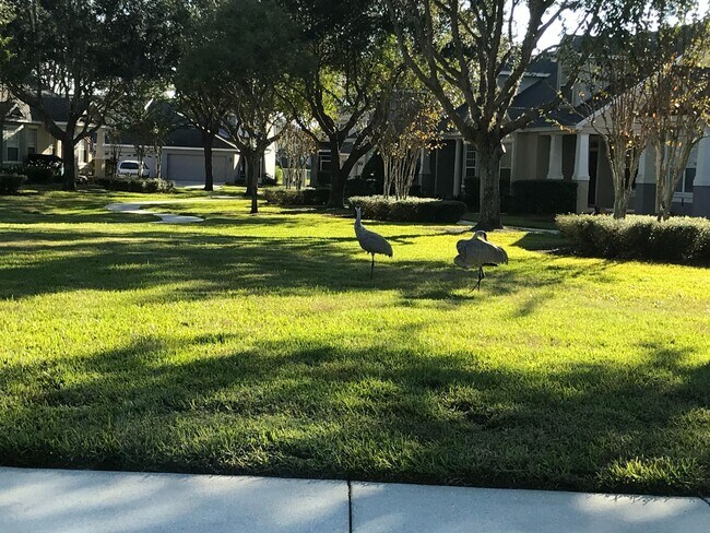 Building Photo - 3 Bedroom/3 Bath Townhouse  Summerport Community - Windermere!!!!