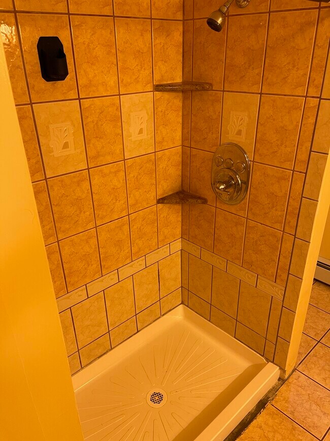 Building Photo - 229 Mansfield Ave