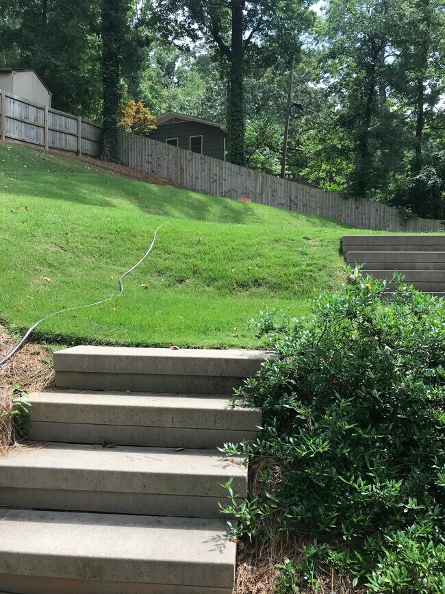 Back Yard - 1427 Melrose Pl