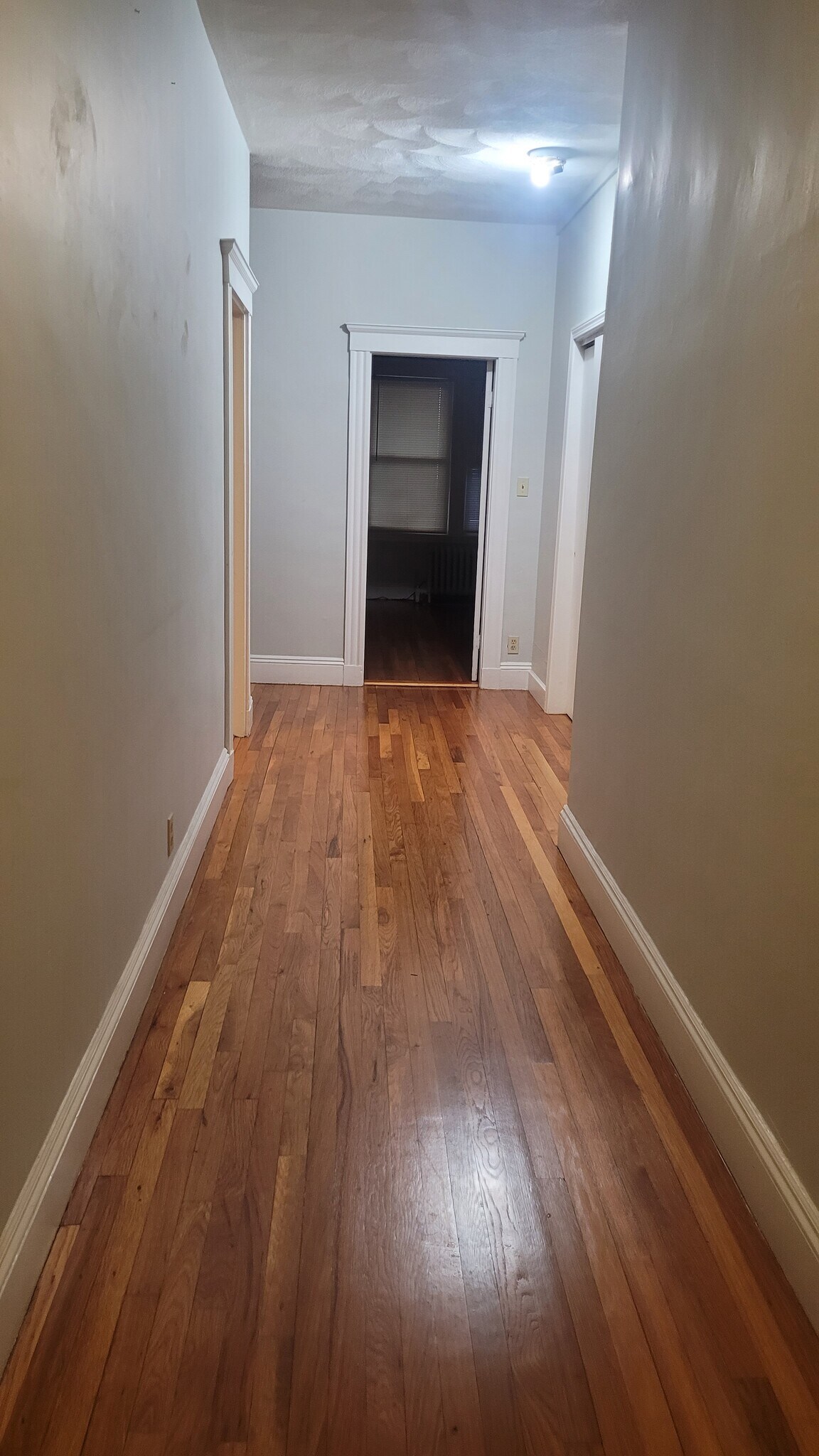 Building Photo - 258 Vine St