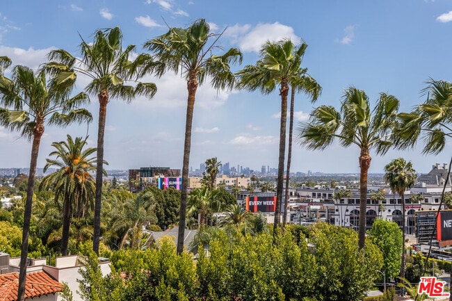 Building Photo - 1541 Selma Dr