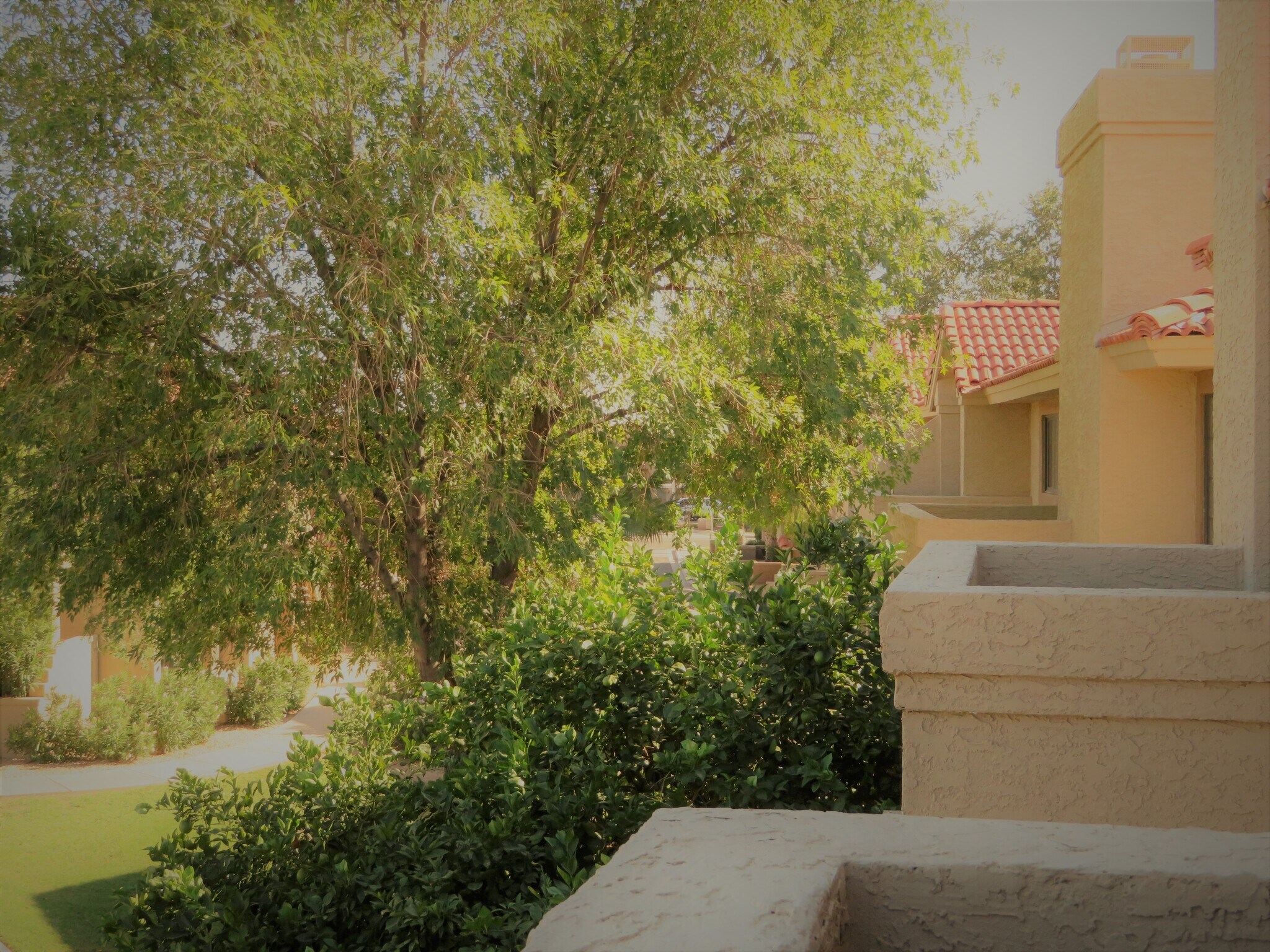 Living Room Balcony View - 11515 N 91st St