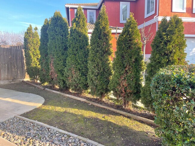 Building Photo - Ideal 4br/2ba single story in Morada