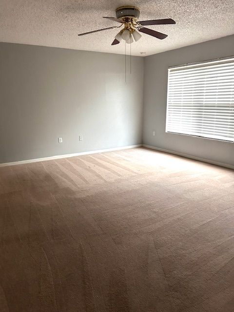 Building Photo - 843 Ognon Ct