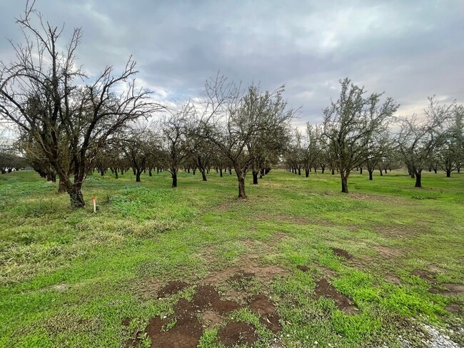 Building Photo - Large 3bd 2 ba home with a great country feel.