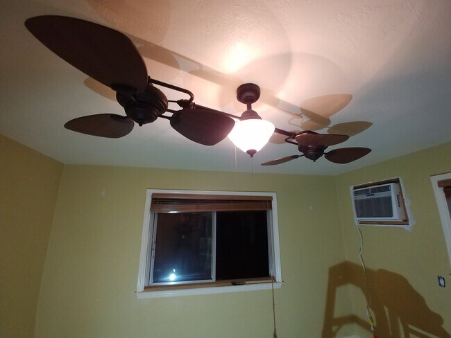 Expensive Fan - 3333 W St