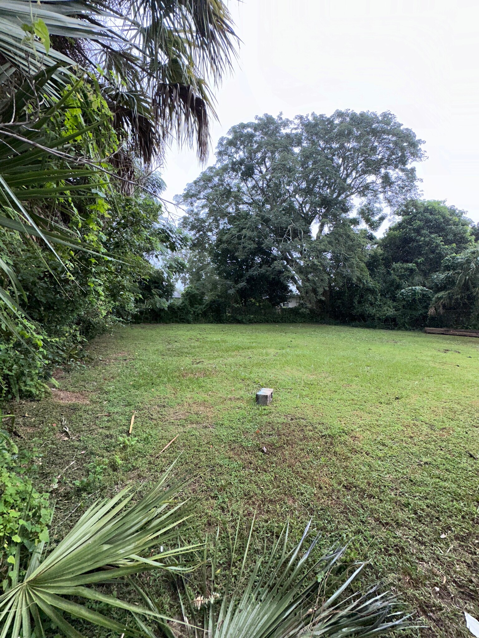 Building Photo - 429 Ventura Ave