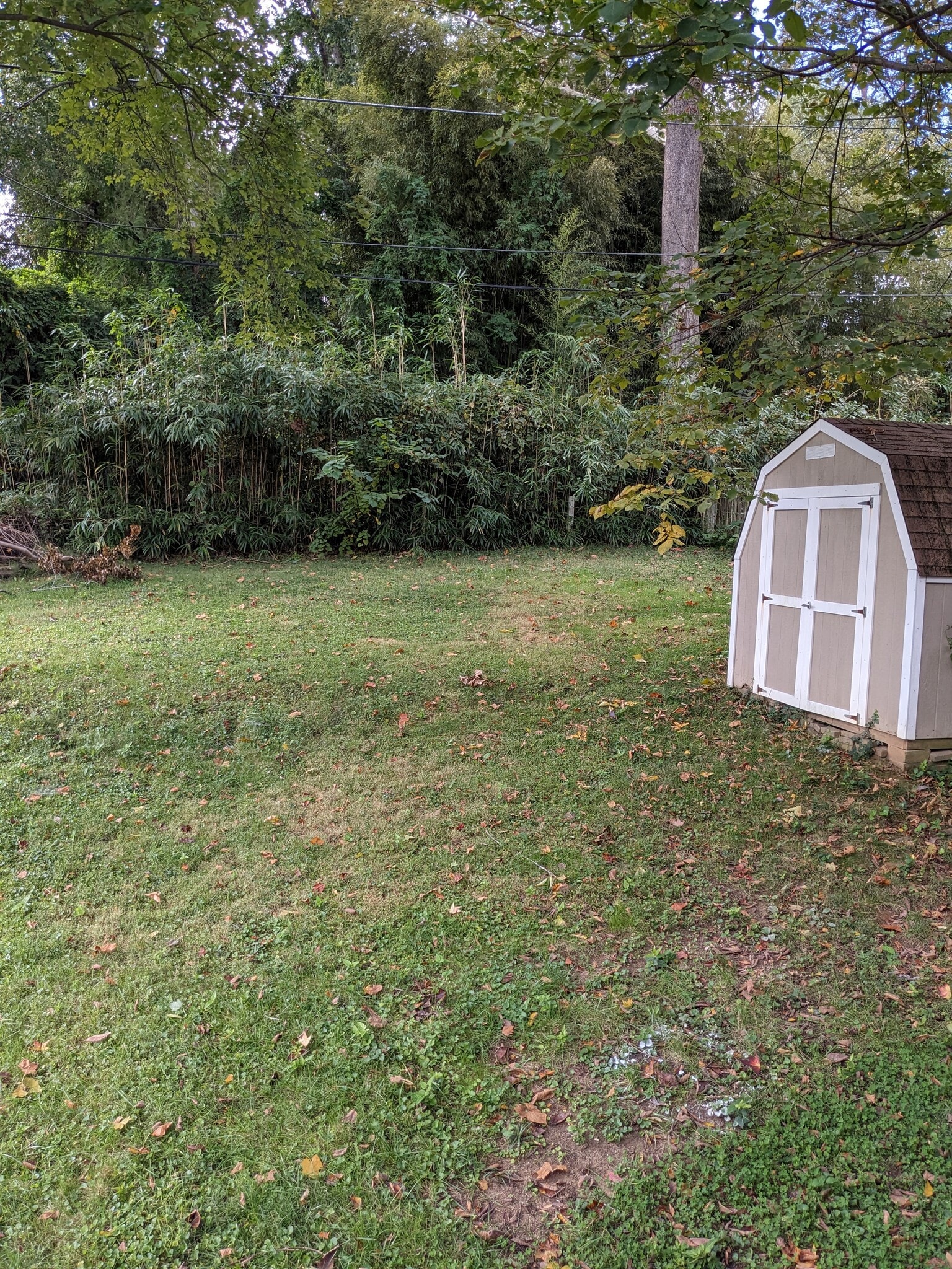 Building Photo - 6107 Forest Rd