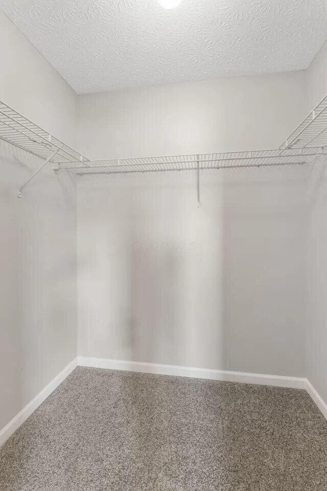 Large walk in closets - 8810 Greylag Loop