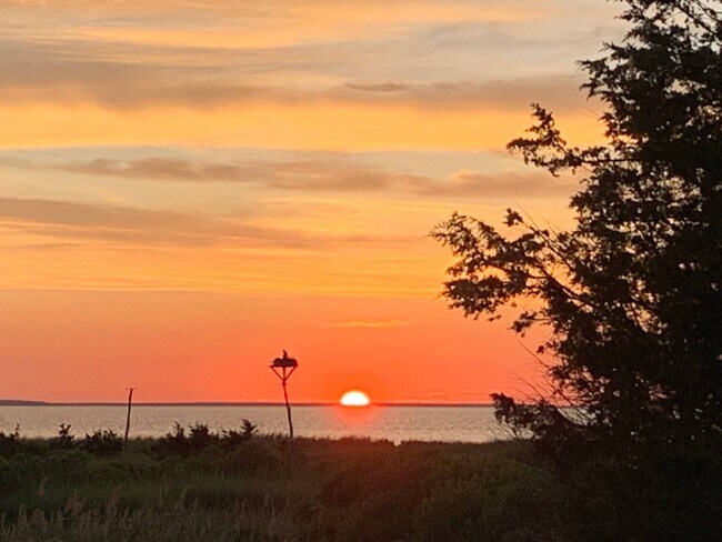 Building Photo - 20 Bay Inlet Rd