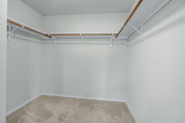 Building Photo - 6854 Hibiscus Falls