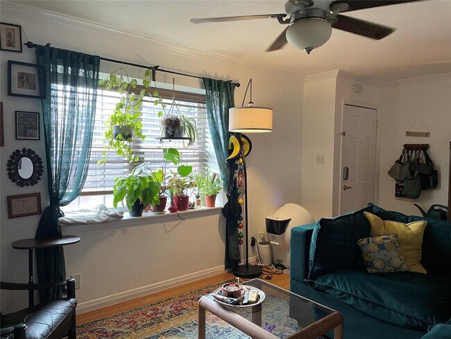 Building Photo - 900 S Lamar Blvd