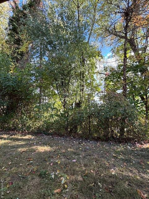 Building Photo - 31 C Alpine Dr