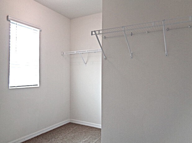 Building Photo - 10927 Carlton Fields Dr