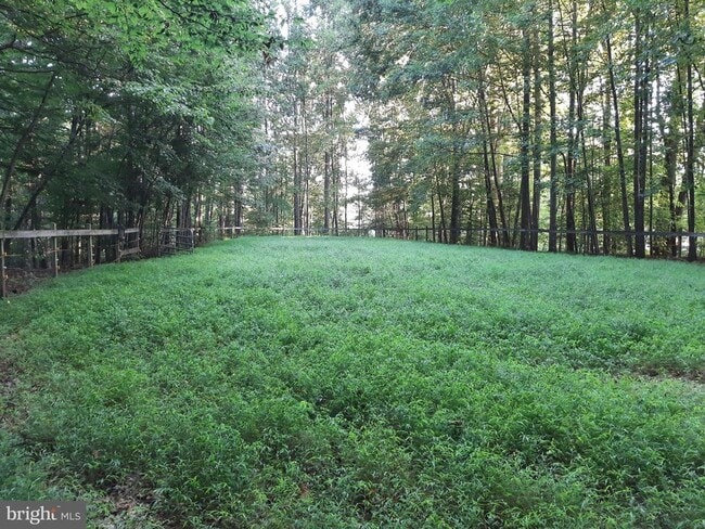 Building Photo - 11800 Wolf Run Ln