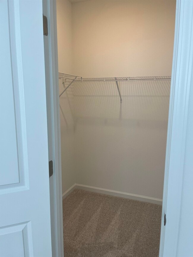 Building Photo - 207 Silver Myrtle Ct