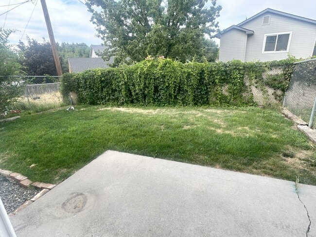 back yard - 2115 Pleasanton St