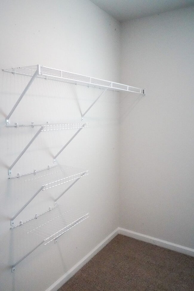 Building Photo - Available Soon!