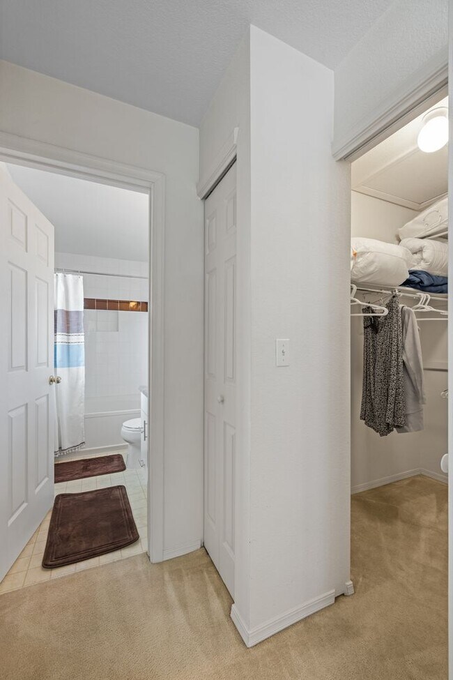 Building Photo - FURNISHED - 3 bed 3 bath Gated Highlands Ranch Home!