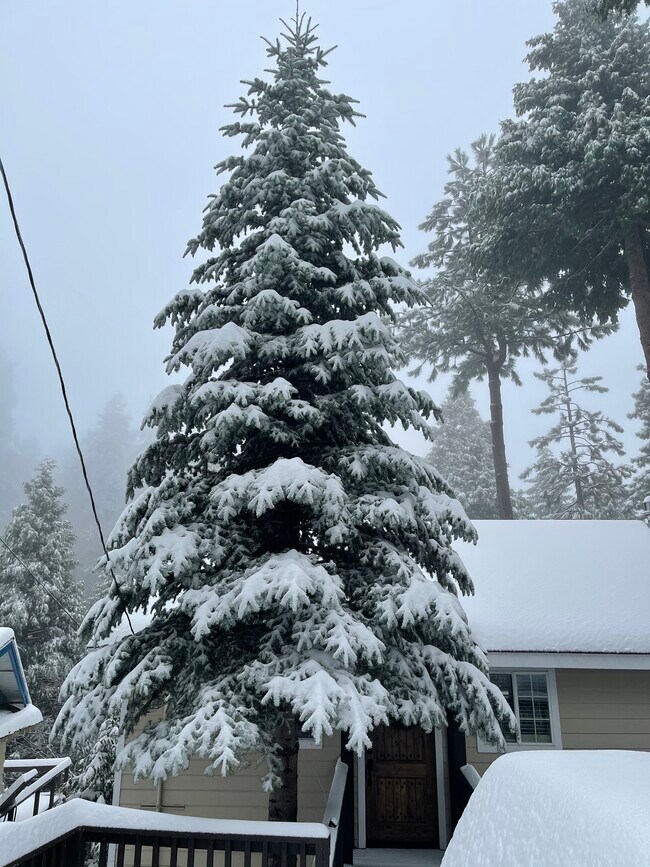 Enjoy the snow! - 26772 CA-189