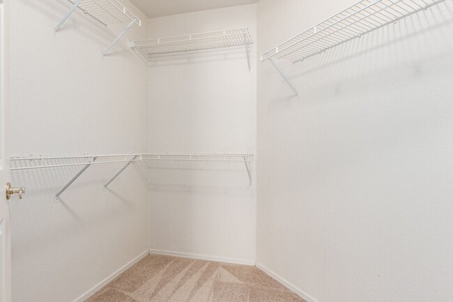 Building Photo - Beautiful 2 bed/2bath condo in Scottsdale!!