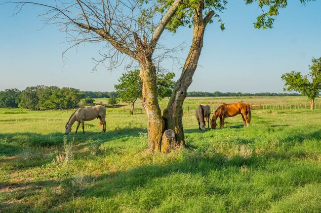 Building Photo - 11671 FM 3025, Unit 2, Stephenville, TX 76401