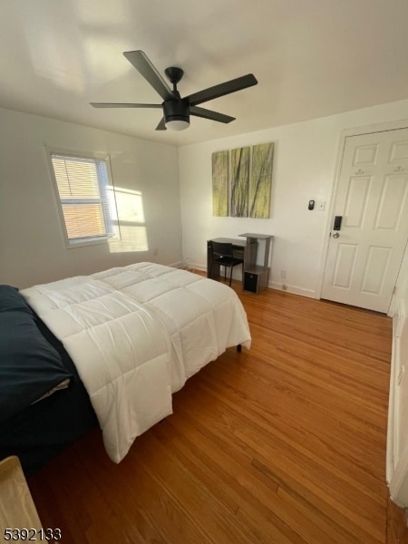 Building Photo - 1727 Park St