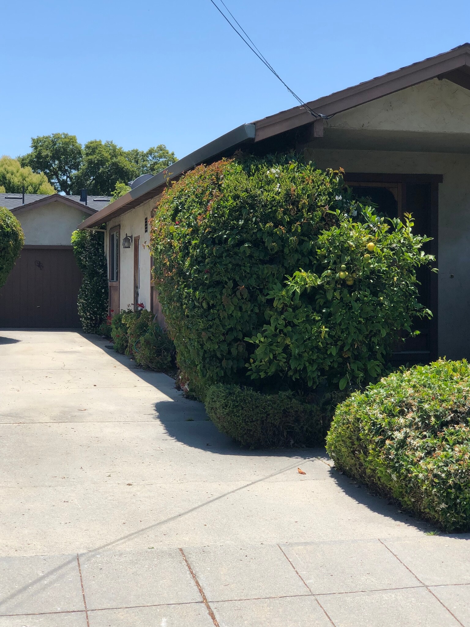 Driveway with parking availability for up to 5 cars! - 870 Coolidge Ave
