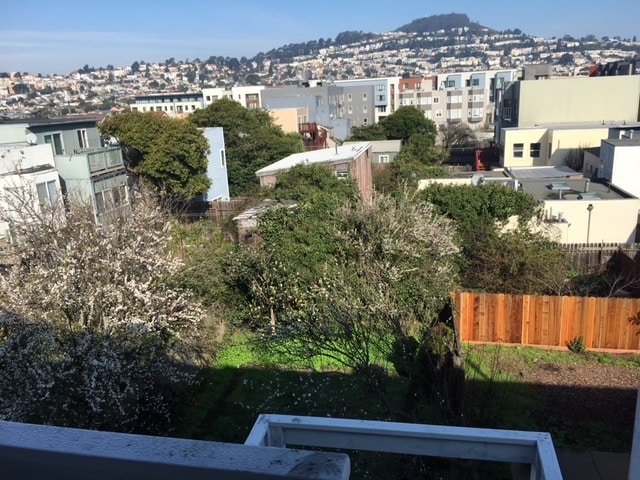Backyard view from Kitchen - 126 Holloway Ave