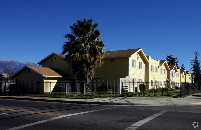 Building Photo - The Cape Villa Apartments