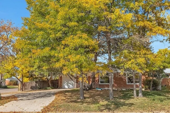 Primary Photo - Expansive 2200 SQ Ft Home in Broomfield!